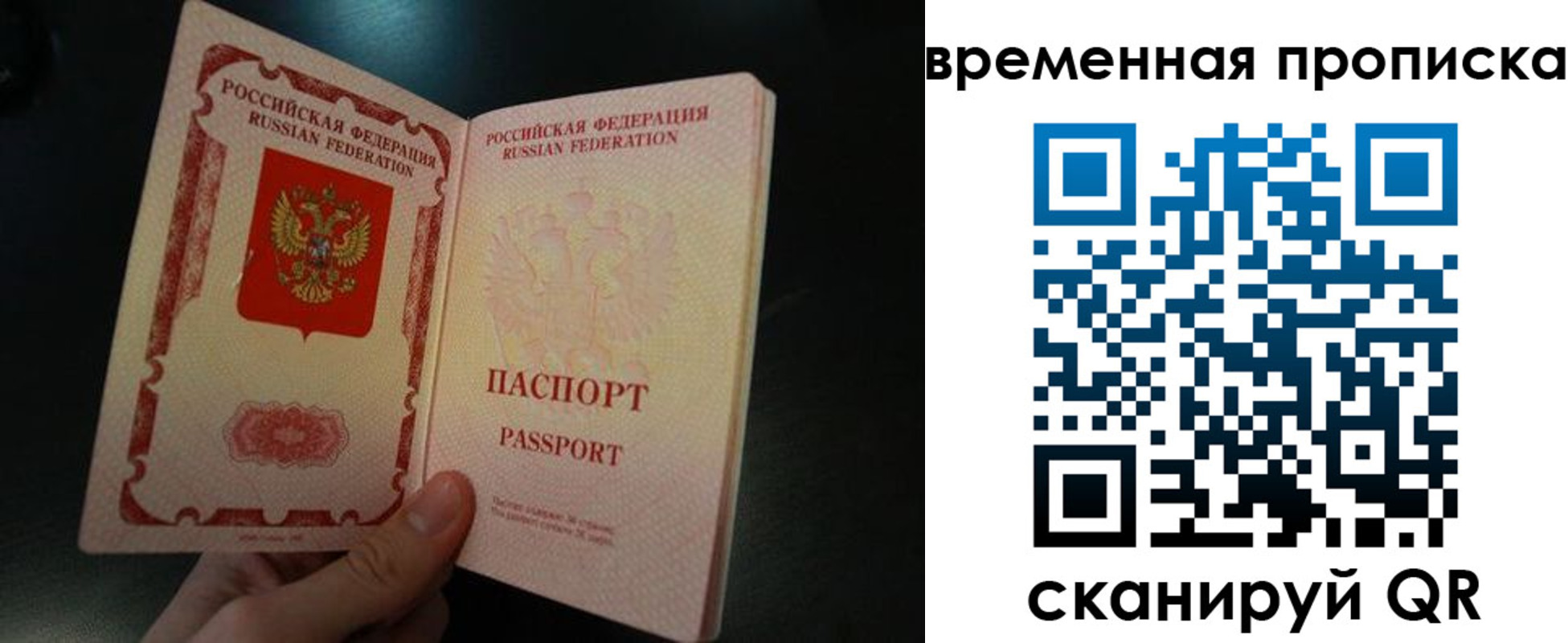 временная регистрация гарантия в Ярославле