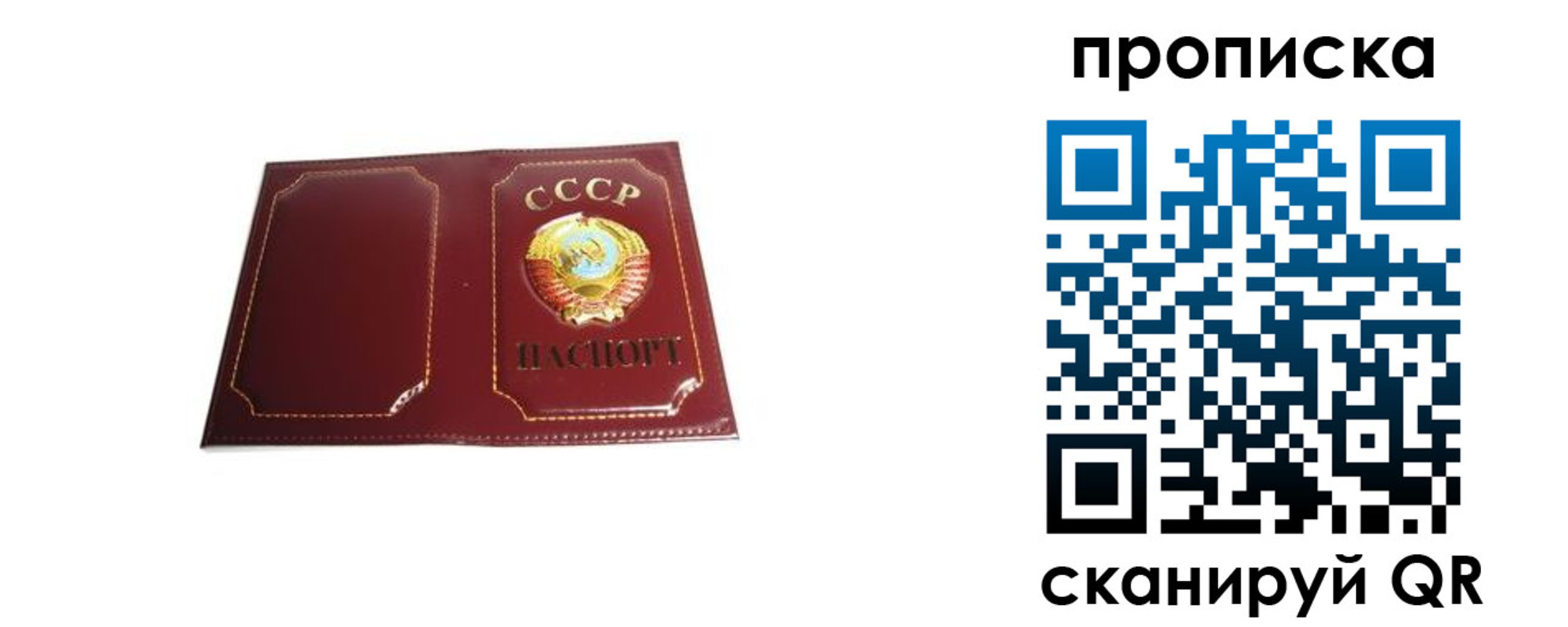 прописка гарантия в Ярославле